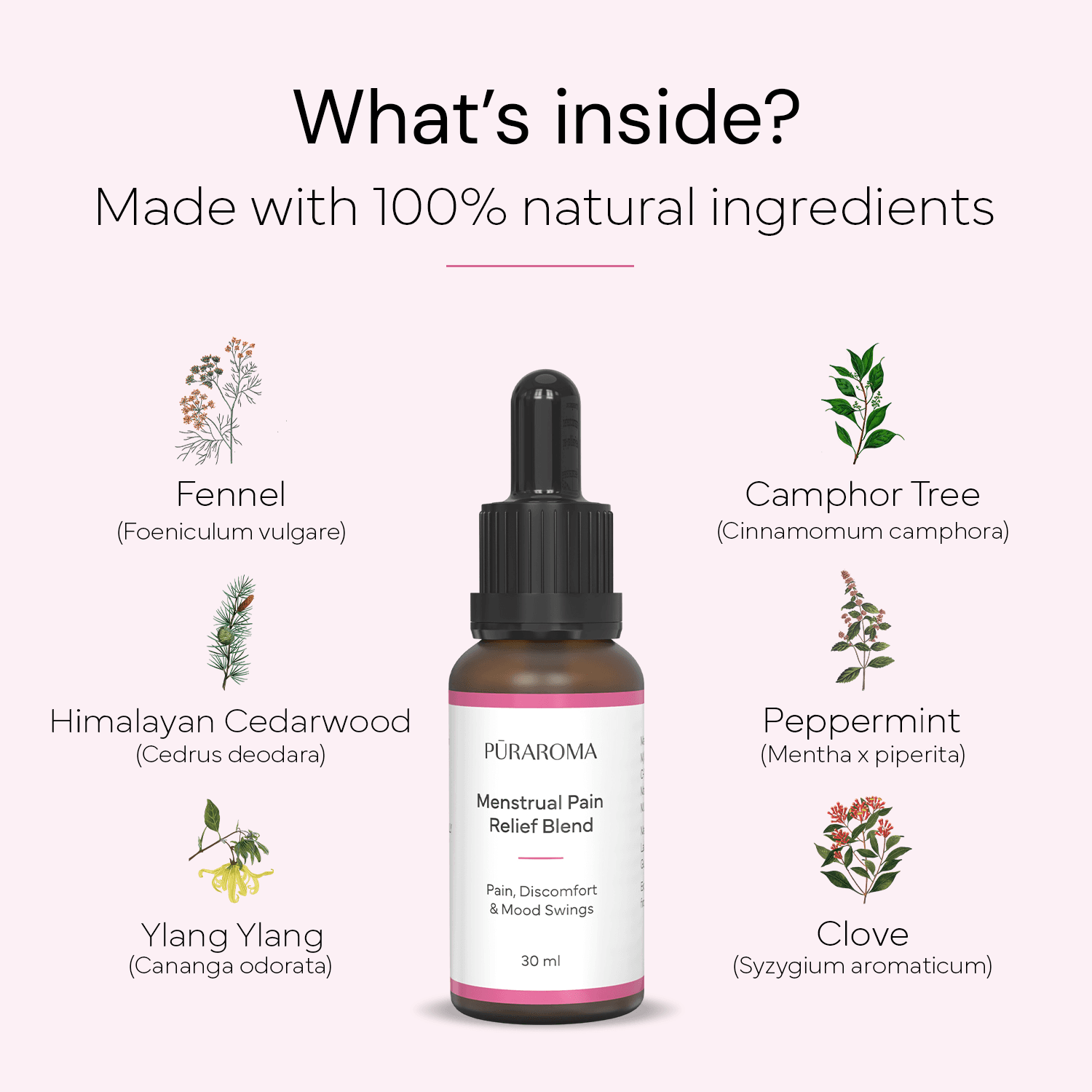 Puraroma Menstrual Pain Relief Blend – ddbd6361-39bb-411e-8b2d-07f260c47418 by Aditya Mediherbs — photo 1 of 7